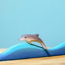 Baby Dolfijn