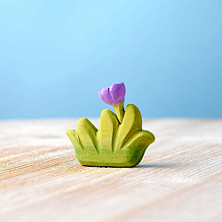 Grass with lila flower small