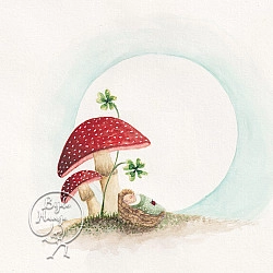Kaart Mushroom Baby