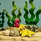 Bumbu Toys Suiker Zeewier