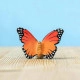Bumbu Toys Vlinder