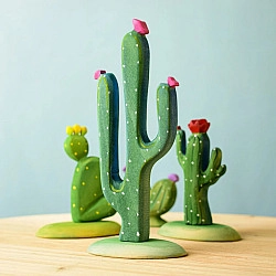 Mexicaanse Cactus 
