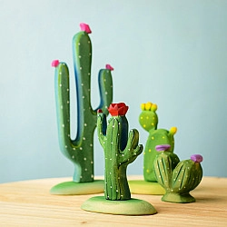 Saguaro Cactus 