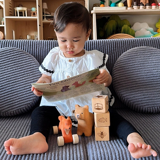Bumbu Toys First Adventure - SET