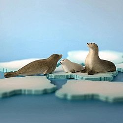 Zadelrobben familie - SET