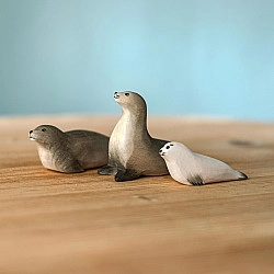 Zadelrobben familie - SET