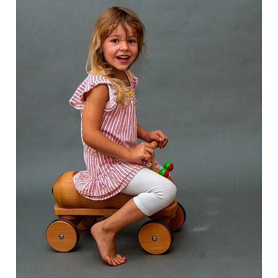 Dynamiko houten loopwagen rups groen/blauw 