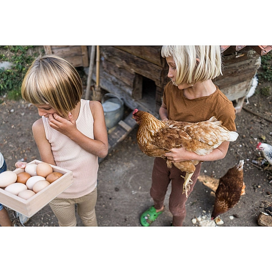 Grapat Verzamel bakje naturel