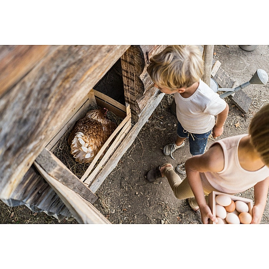 Grapat Verzamel bakje naturel
