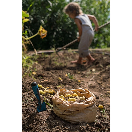 Grapat Mandala Tulpen