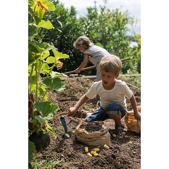 Grapat Mandala Tulpen
