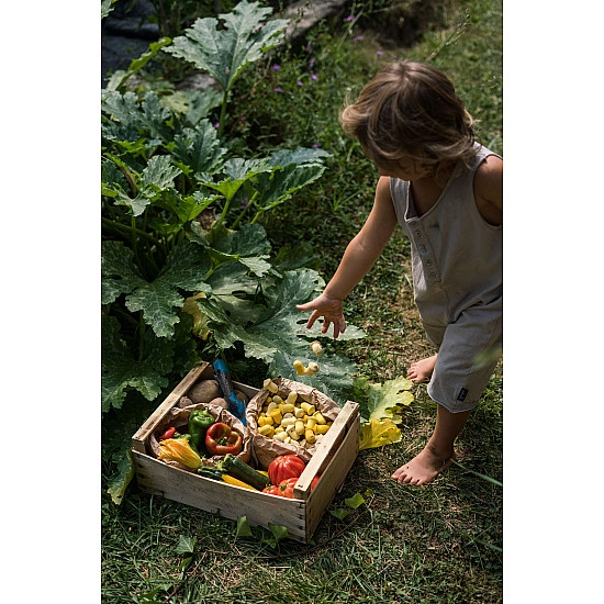 Grapat Mandala Tulpen