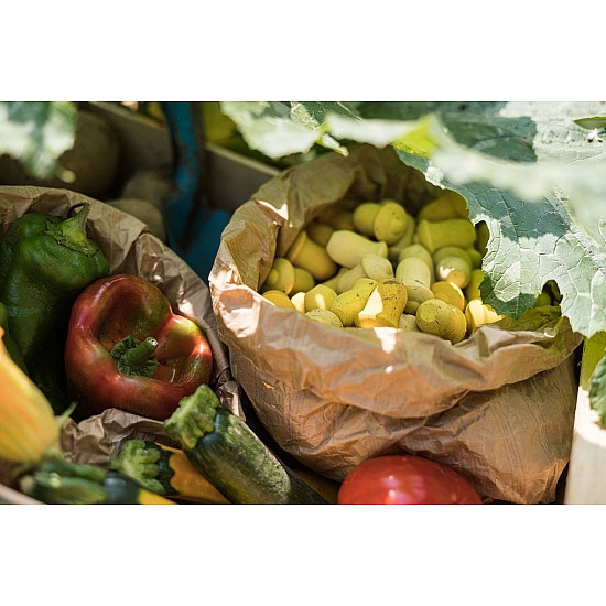 Grapat Mandala Tulpen