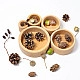 Grimm's Schalenset naturel