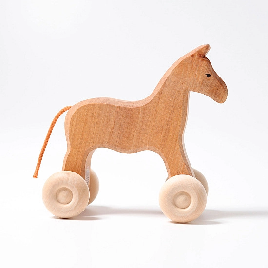 Paard Willy