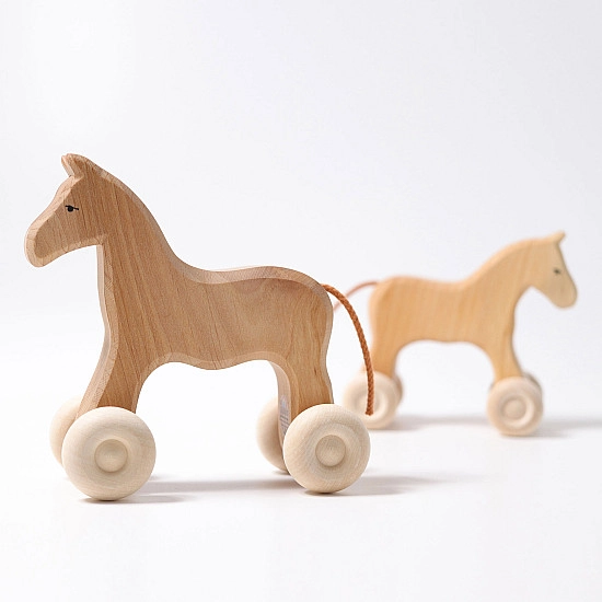 Paard Willy