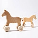 Paard Willy