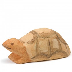 Schildpad klein