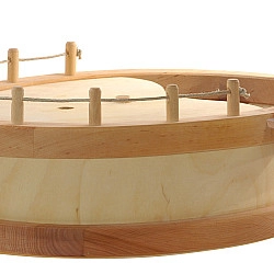 Ship or Noah's Ark complete
