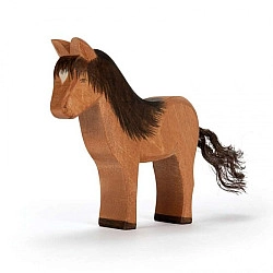 IJslands paard Hrókur