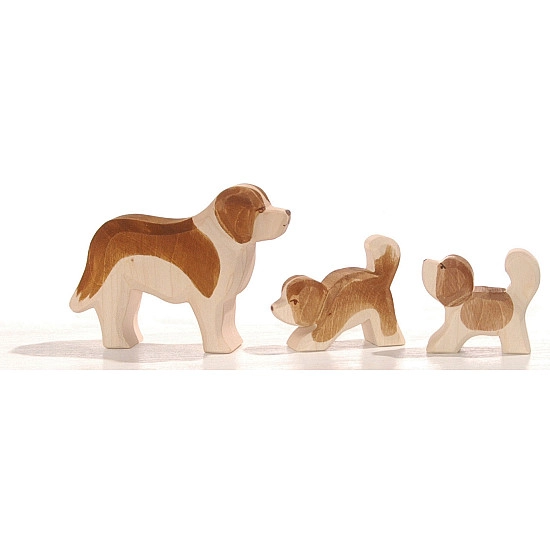 Ostheimer Sint-Bernard hond
