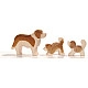 Ostheimer Sint-Bernard hond