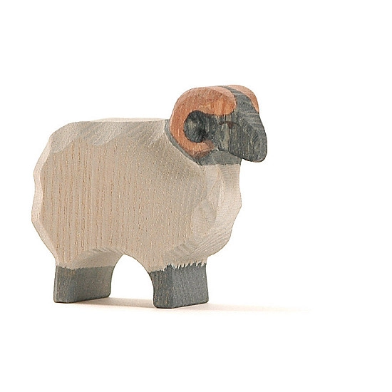 Ostheimer Heidschnucke Ram