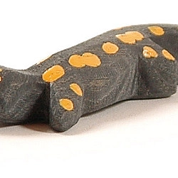 Salamander