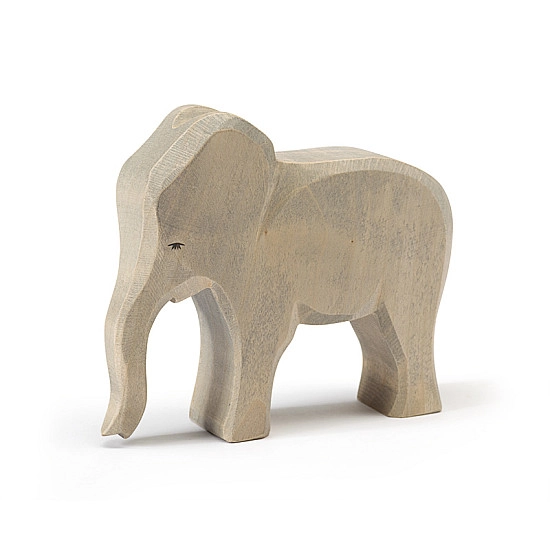 Ostheimer Olifant vrouwtje slurf lang