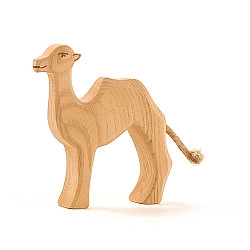 Kameel klein