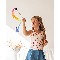 Speelzijde wimpel mini regenboog