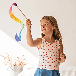 Speelzijde wimpel mini regenboog